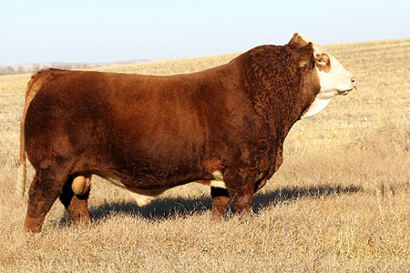 sire3